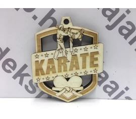 Karate érem